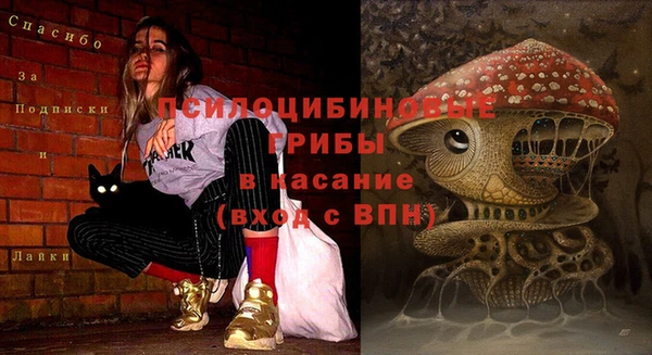 ПСИЛОЦИБИНОВЫЕ ГРИБЫ Алексеевка